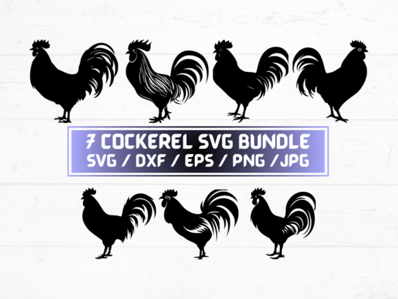 Cockerel SVG, DXF, EPS, JPG, PNG Bundle: A Versatile Digital Asset for Designers and Creators